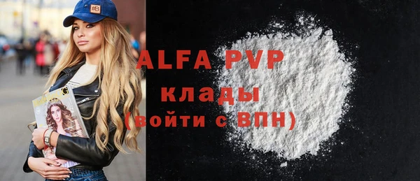 ECSTASY Лагань